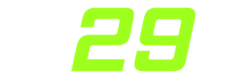 NEURO-29